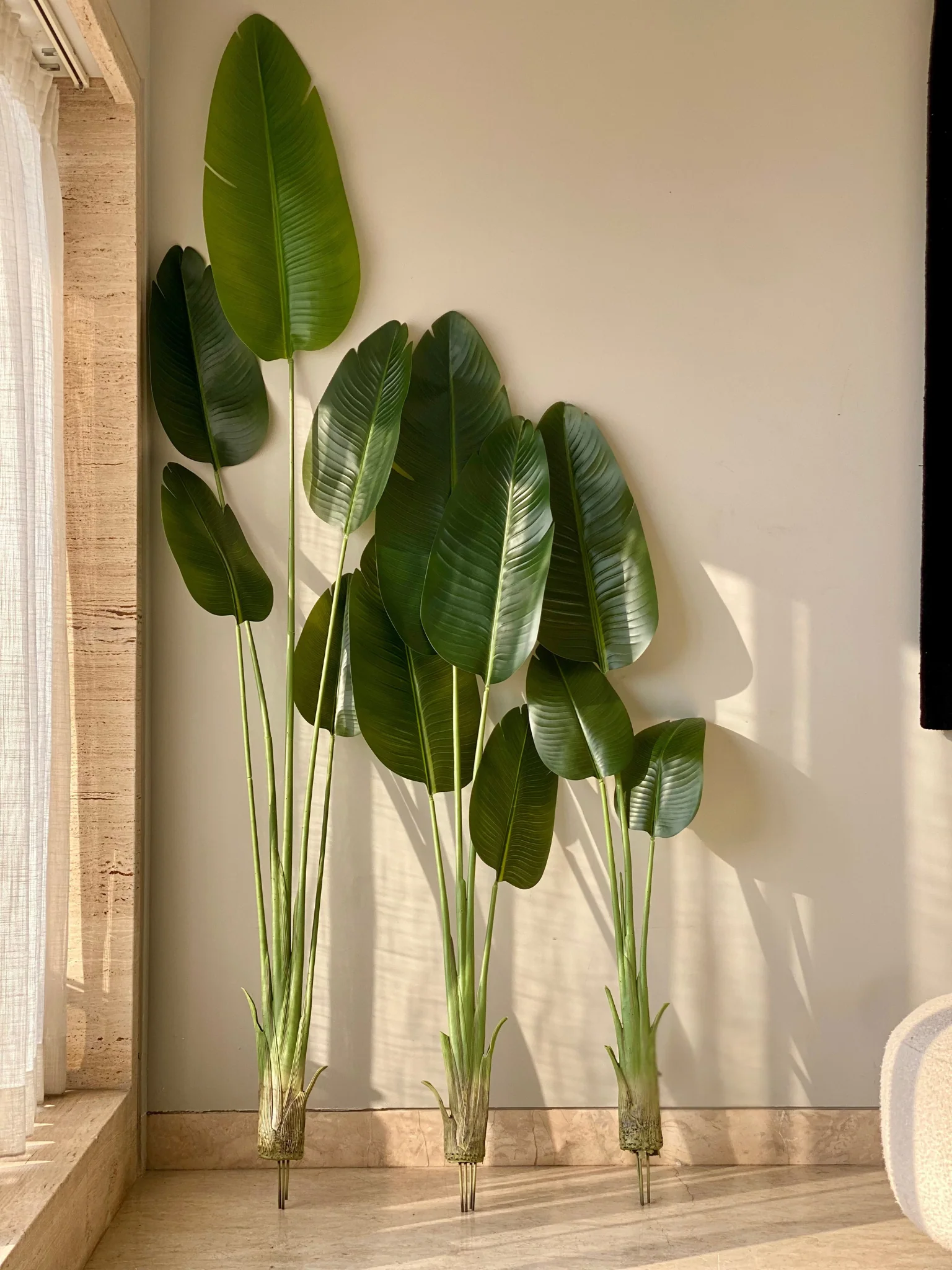 Artificial Cavendish Traveller Plant - 7 Feet - Image 5