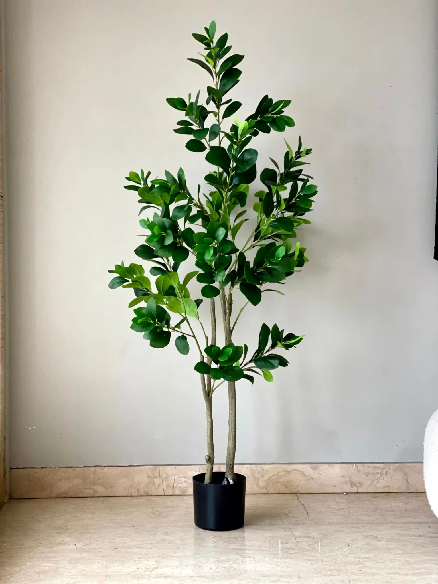 Artificial Wild Peperomia Plant - 5 Feet - Image 5