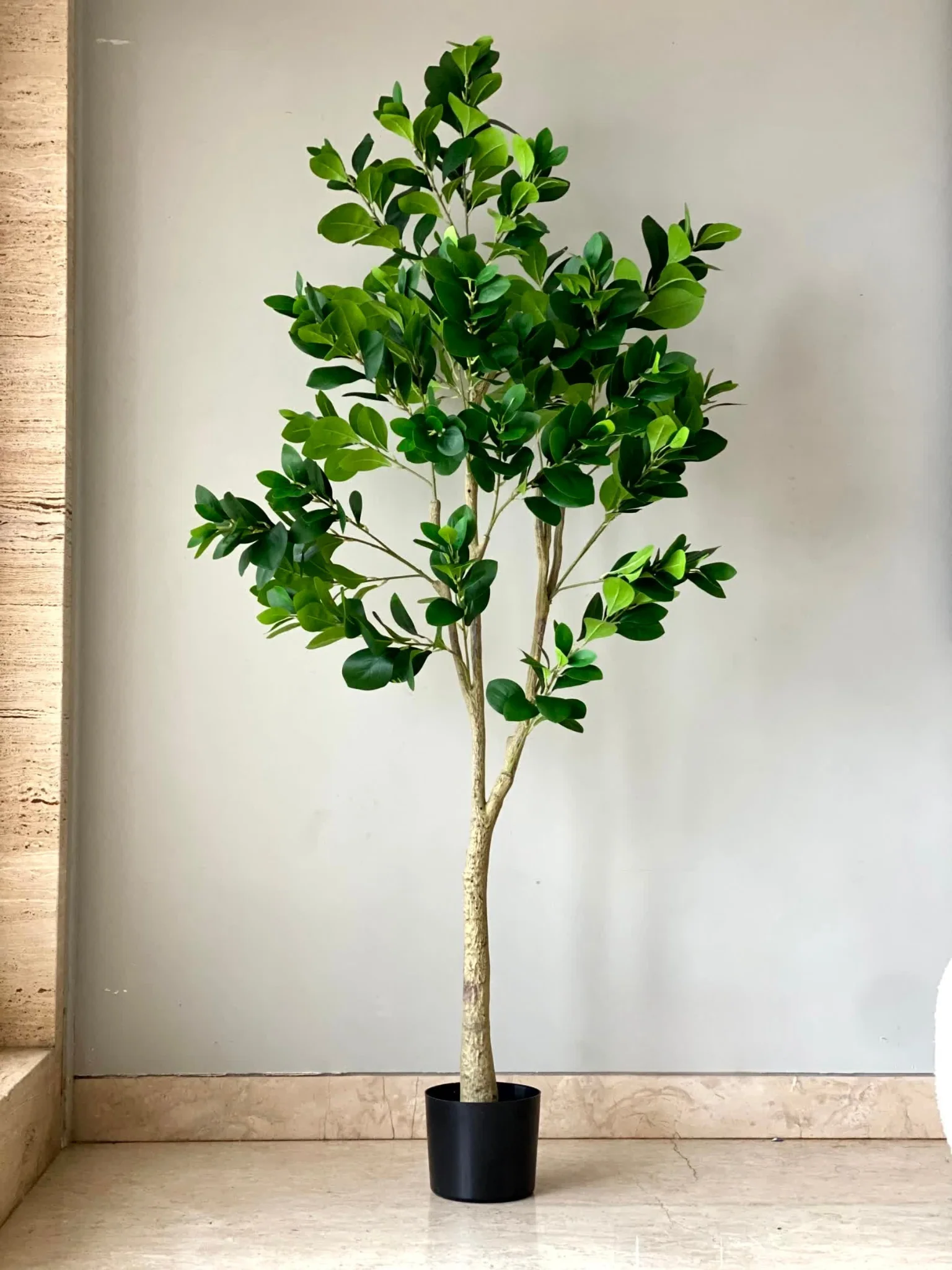 Artificial Lush Peperomia Plant - 6 Feet - Image 5