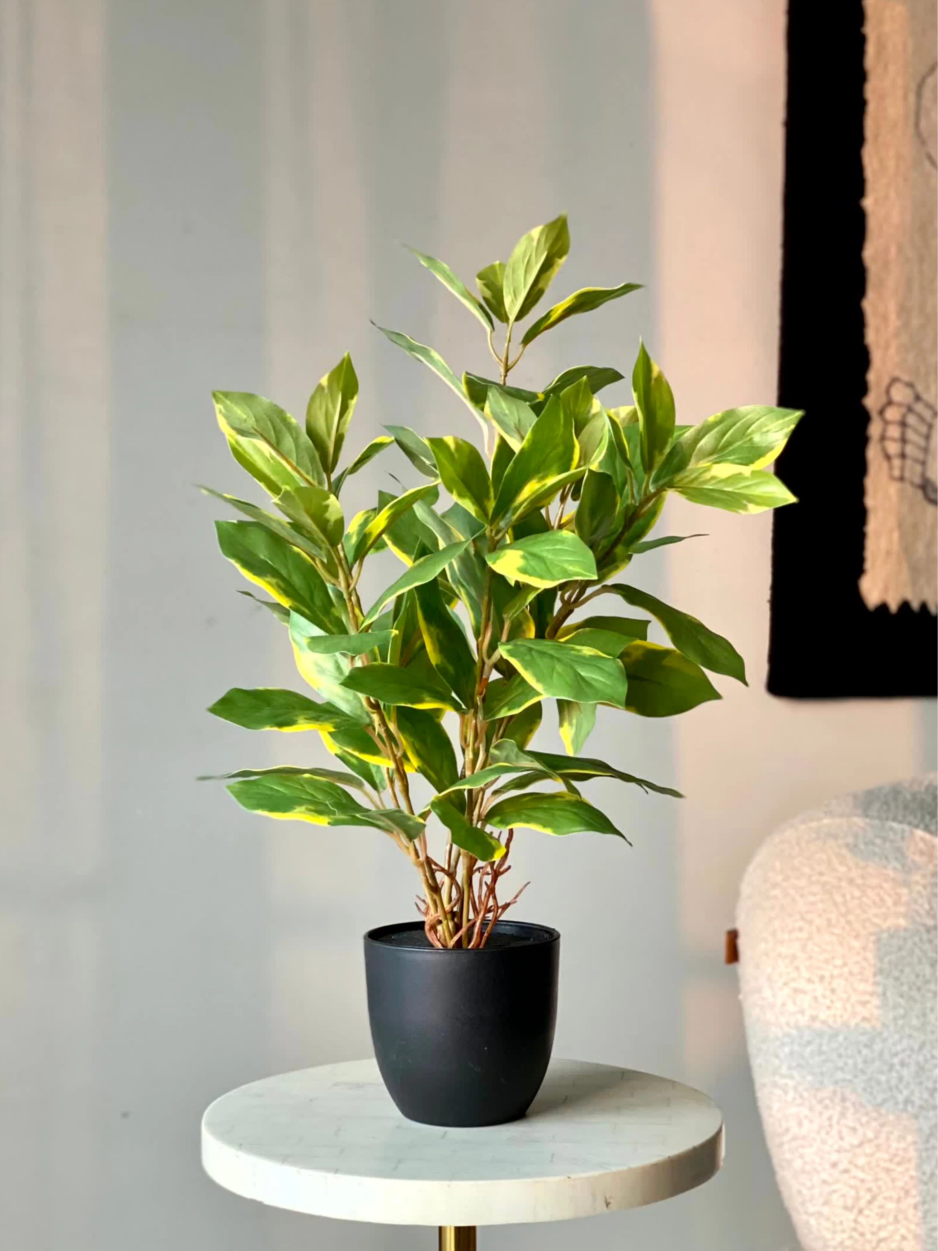 Artificial Evergreen Plant - Variegated - Image 6