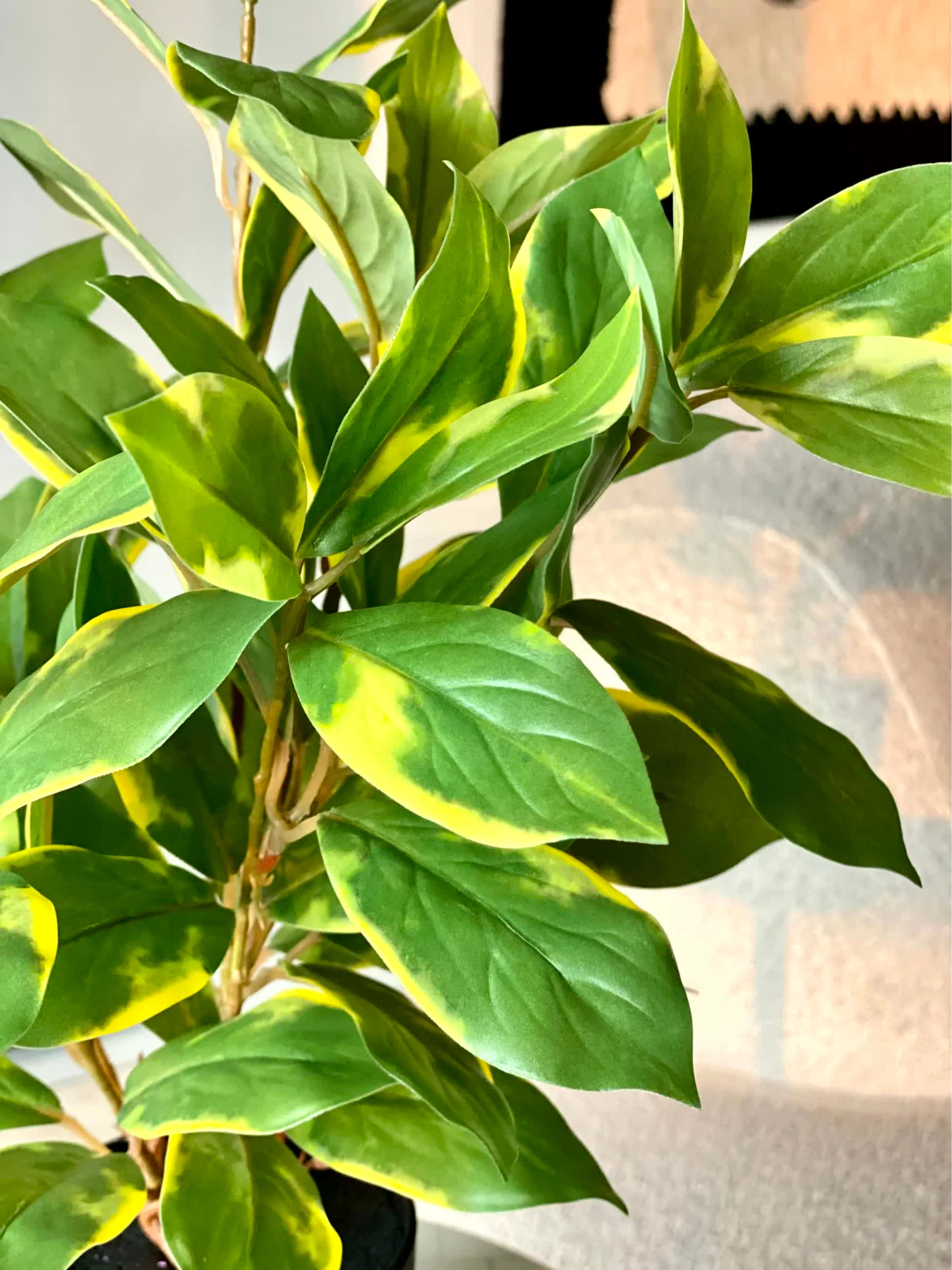 Artificial Evergreen Plant - Variegated - Image 7