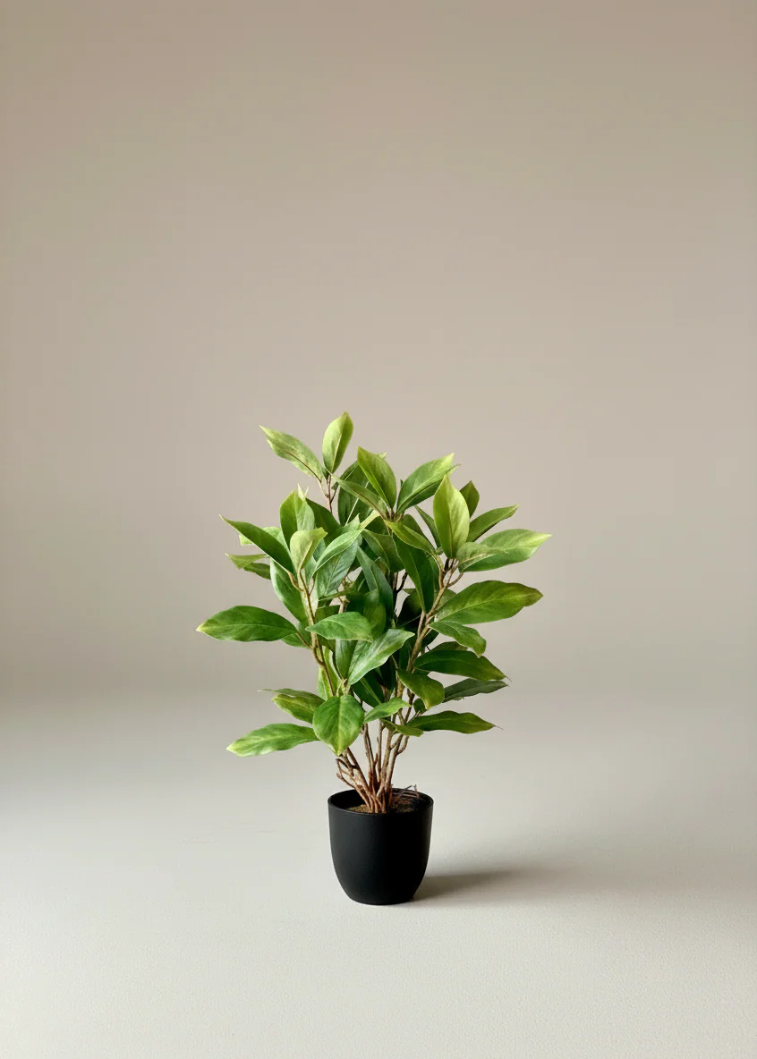 Artificial Jade Evergreen Plant - Image 3