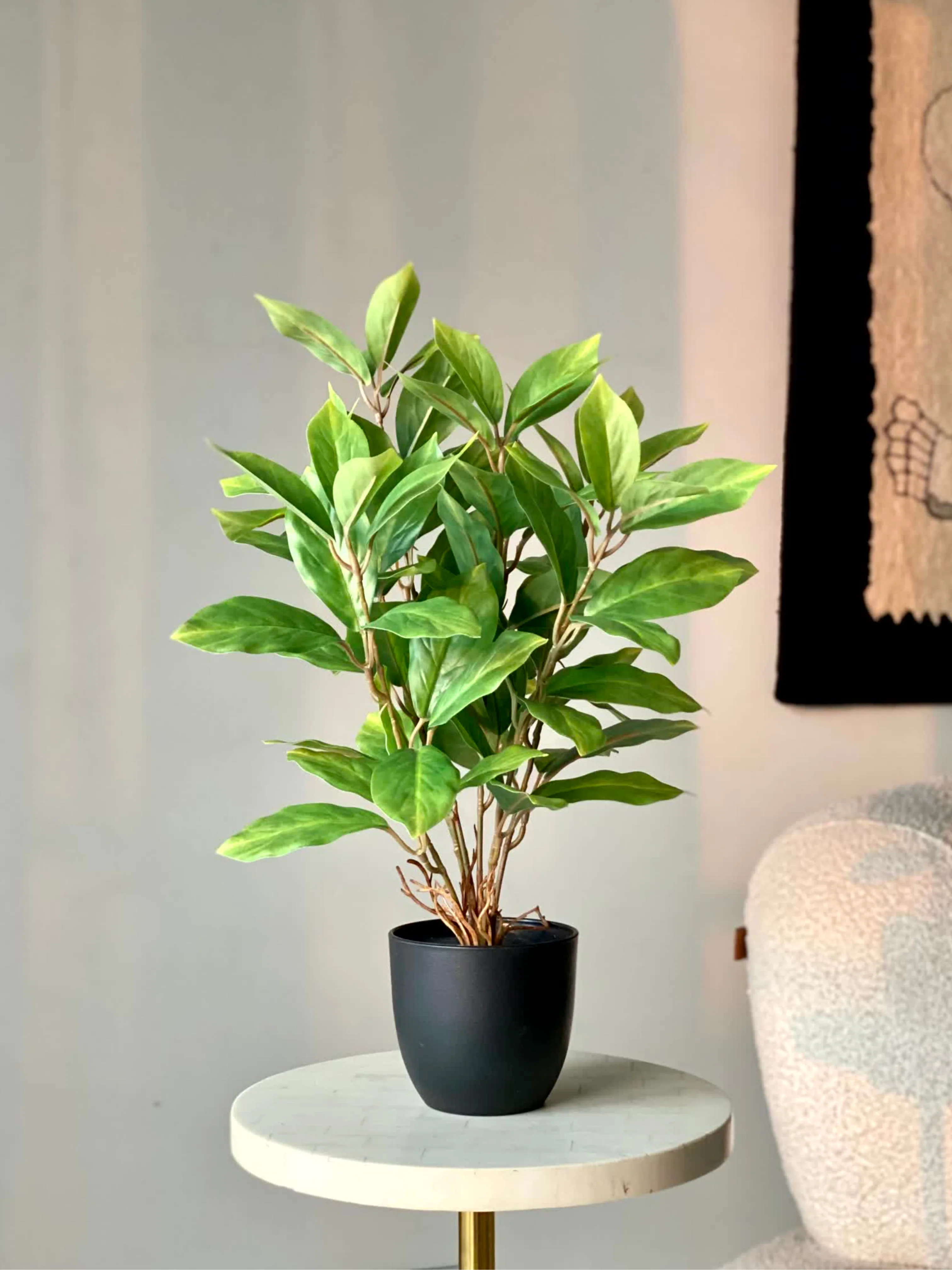 Artificial Jade Evergreen Plant - Image 6